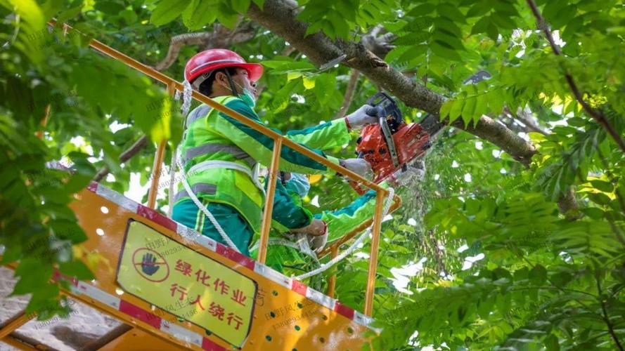 園林管理亂象曝光，專家敦促加強(qiáng)責(zé)任追究