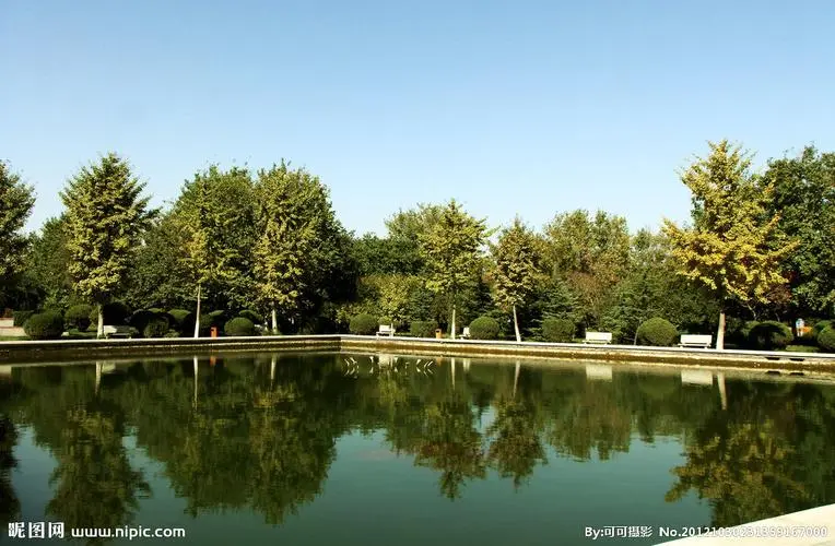 園林管理處問題嚴(yán)重，文明花園變成亂堆垃圾場，環(huán)衛(wèi)到底在哪兒？